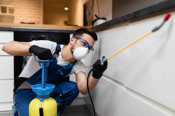Best Rat Extermination Near Me  in Haledon, NJ