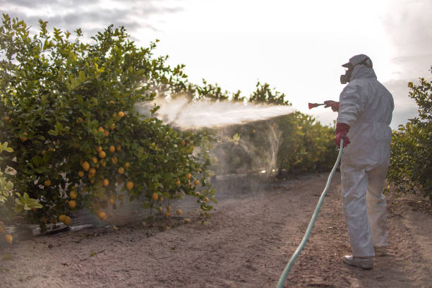 Best Termite Control Services  in Haledon, NJ