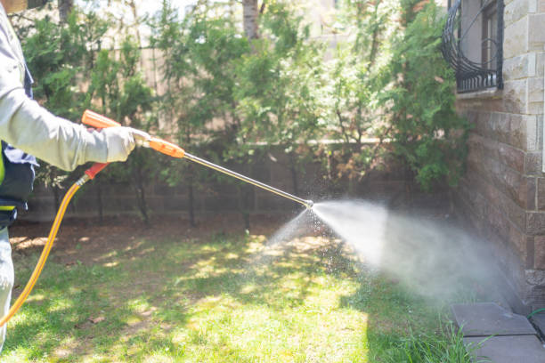 Trusted Haledon, NJ Pest Control Experts