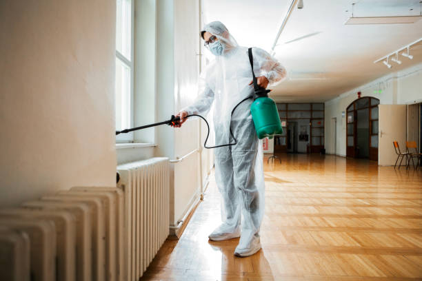 Best Pest Removal Services  in Haledon, NJ